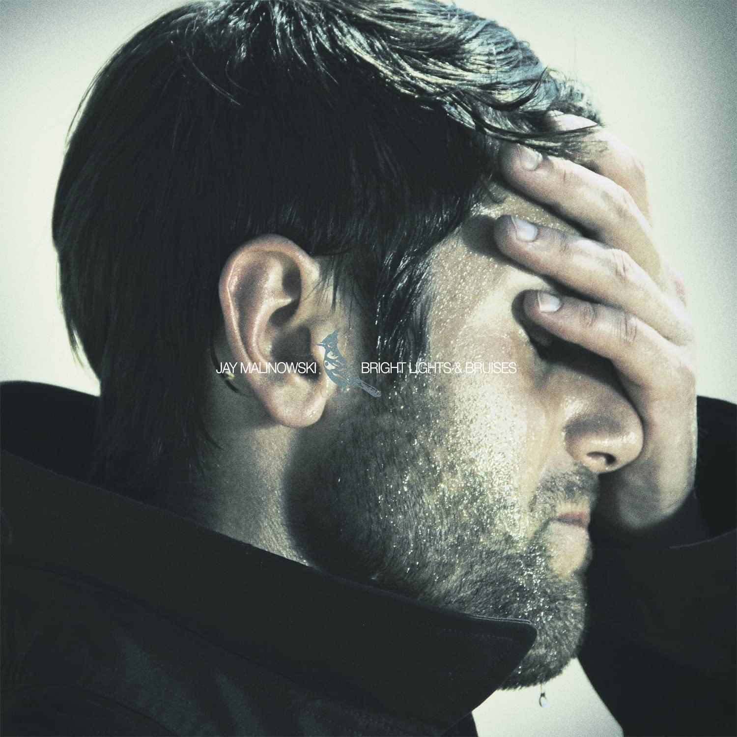 Bright Lights & Bruises [Audio CD] Malinowski, Jay