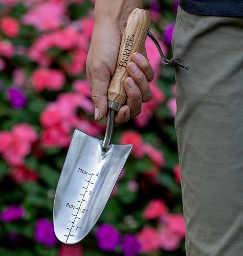 Miniatura 3 de Burpee Paleta de acero inoxidable de 13 pulgadas, duradera herramienta de jardín, correa de muñeca de cuero de 5 pulgadas, mango de 10 años, roble