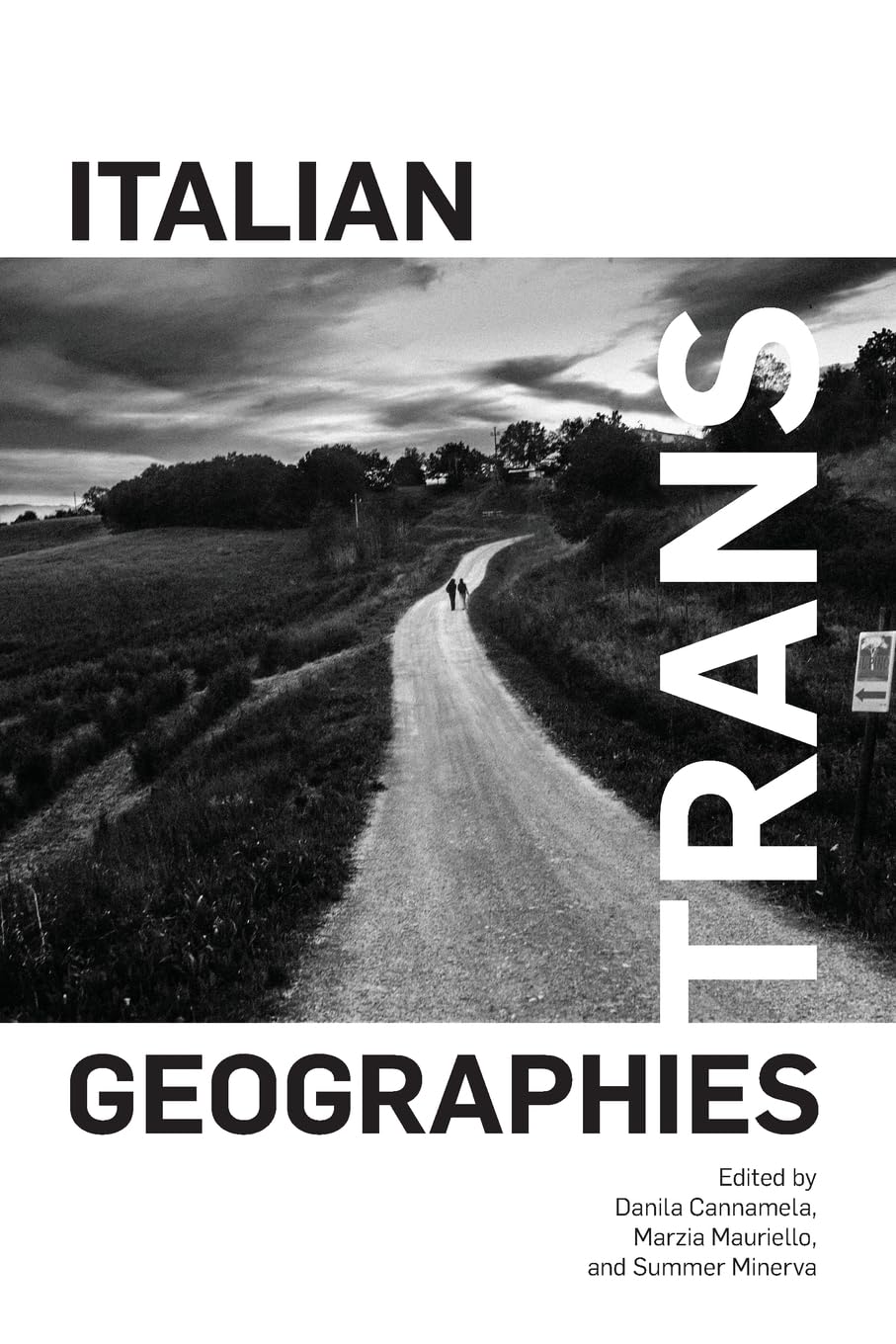 Italian Trans Geographies (SUNY series in Italian/American Culture)