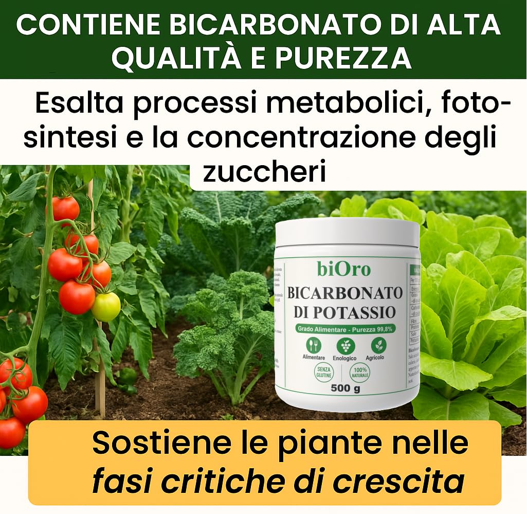 BICARBONATO DI POTASSIO Alimentare biOro 99,8% – 500g – Regolatore Acidità, Antifungino Naturale, Uso Enologico e Agricolo – Grado Alimentare Qualità Premium – Senza Glutine