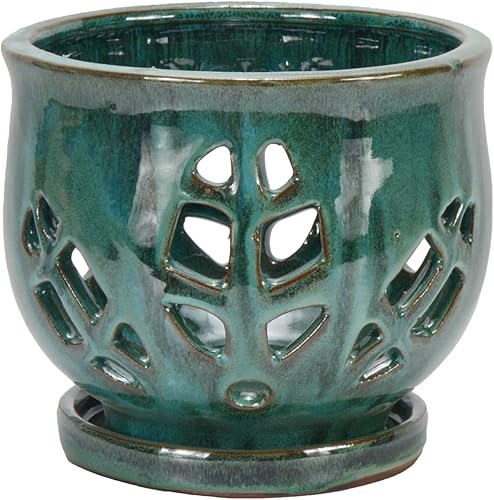 Miniatura 9 de W&W Maceta de orquídeas con agujeros y platillo para trasplantar, color blanco, 5.5 pulgadas