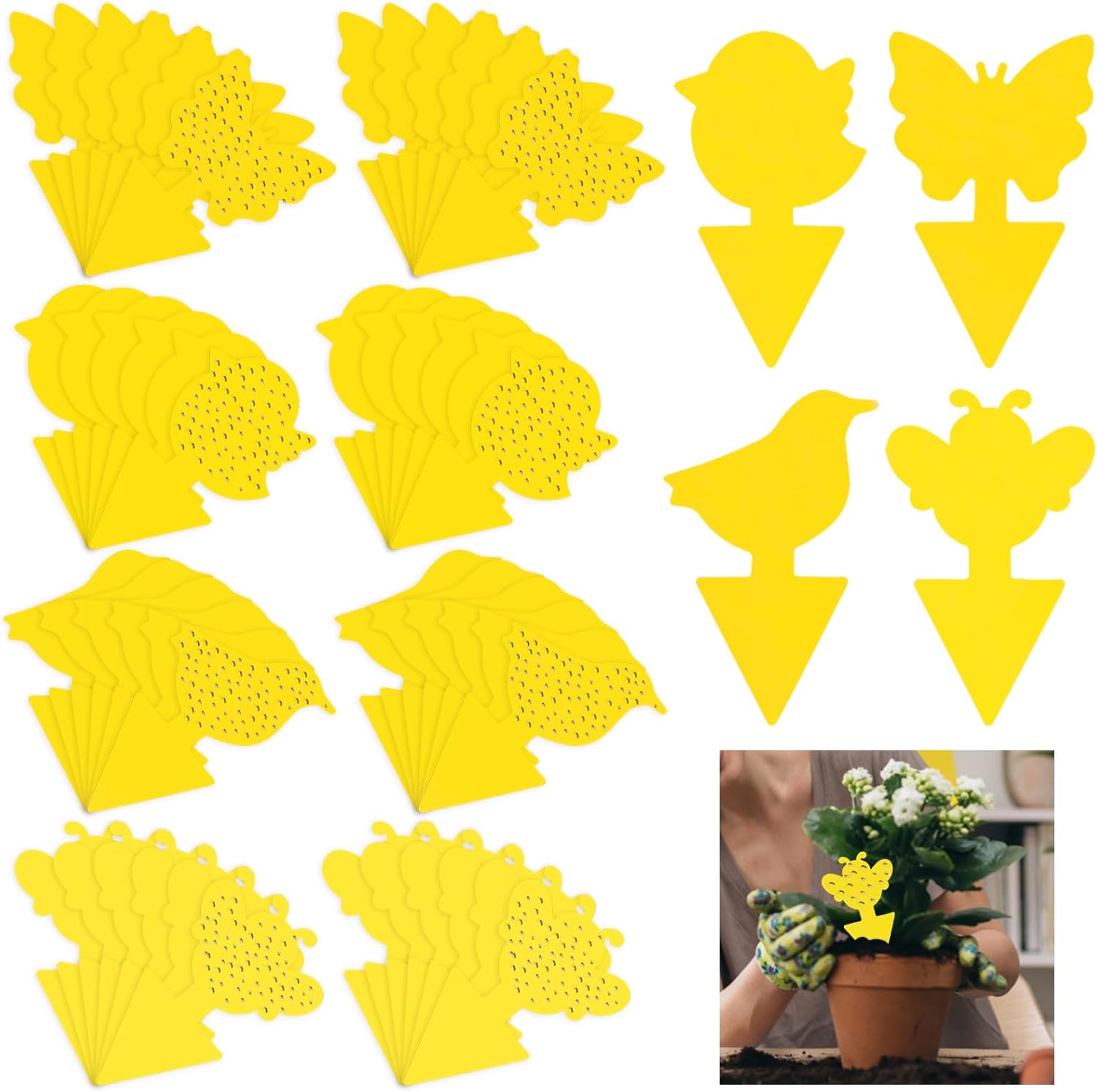 Copriwater Usa E Getta - 30 Pezzi Biodegradabili, Impermeabili, Per Viaggi - Foto 3