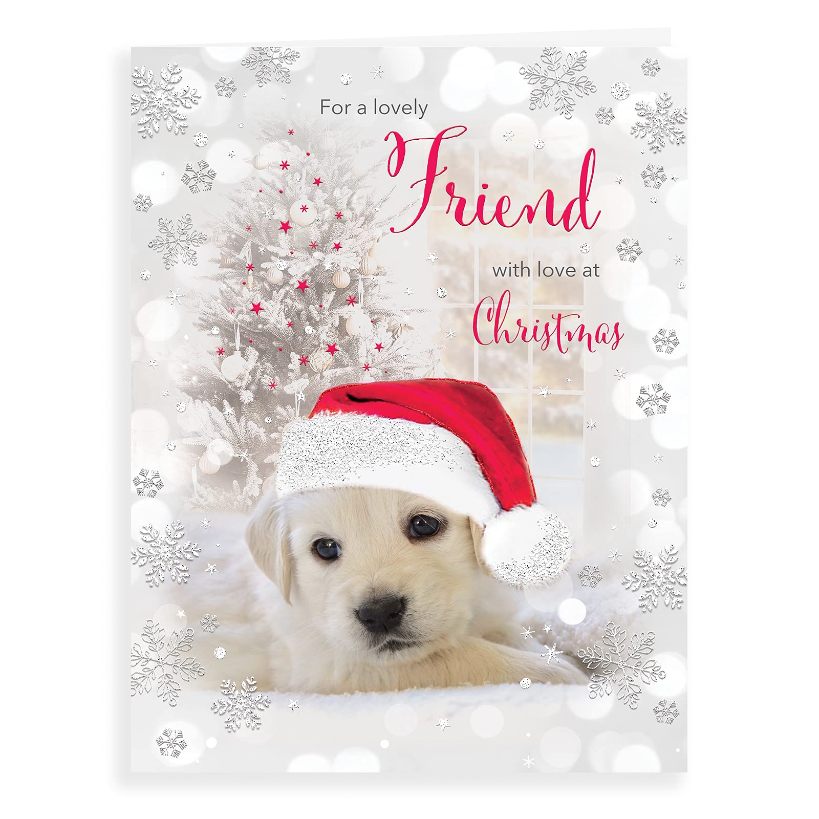 Piccadilly Greetings Photo Christmas Card Friend - 8 x 6 inches