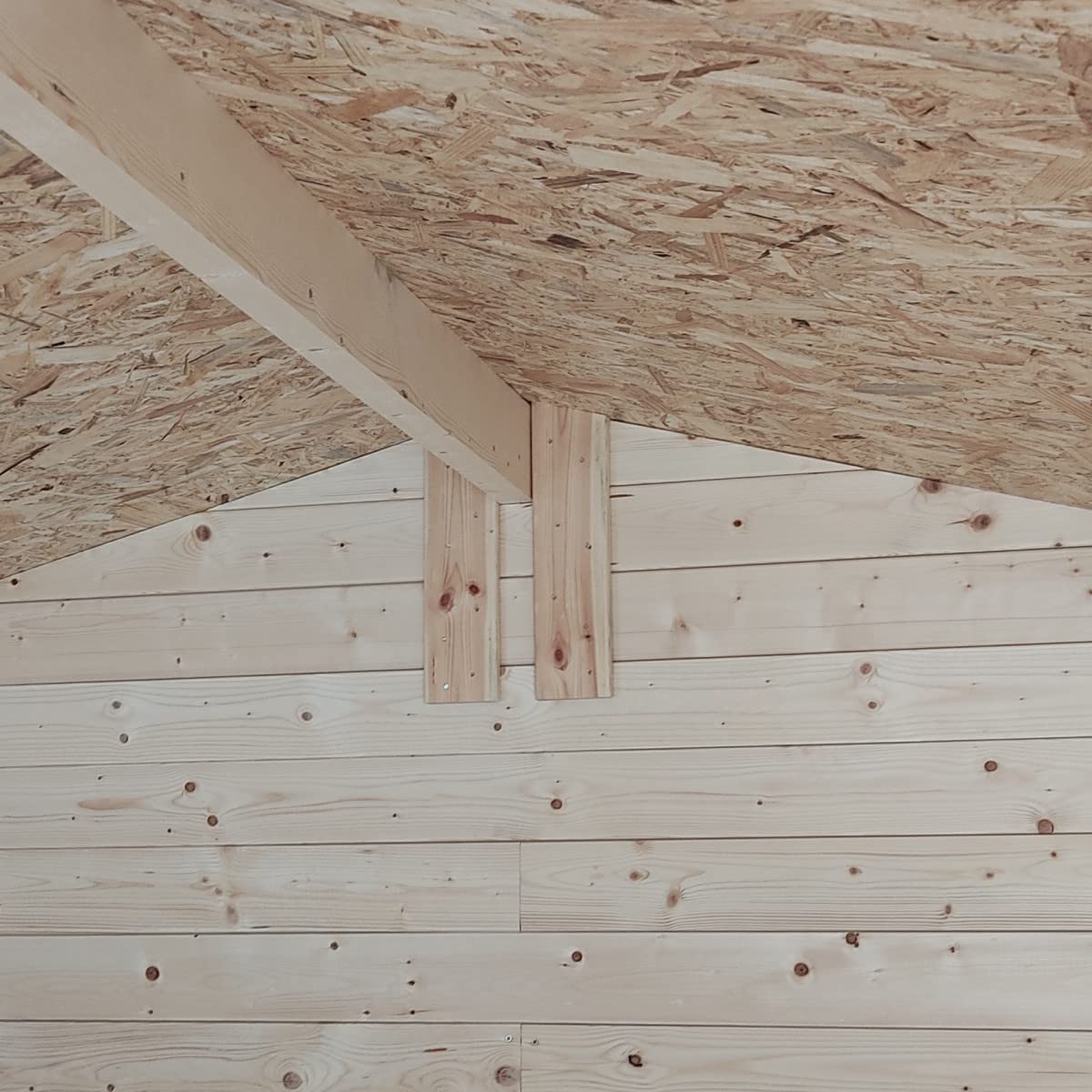 Casetta in legno da giardino Carlotta 3x3 m con porta doppia finestrata, block house in abete naturale, senza pavimento, made in Italy
