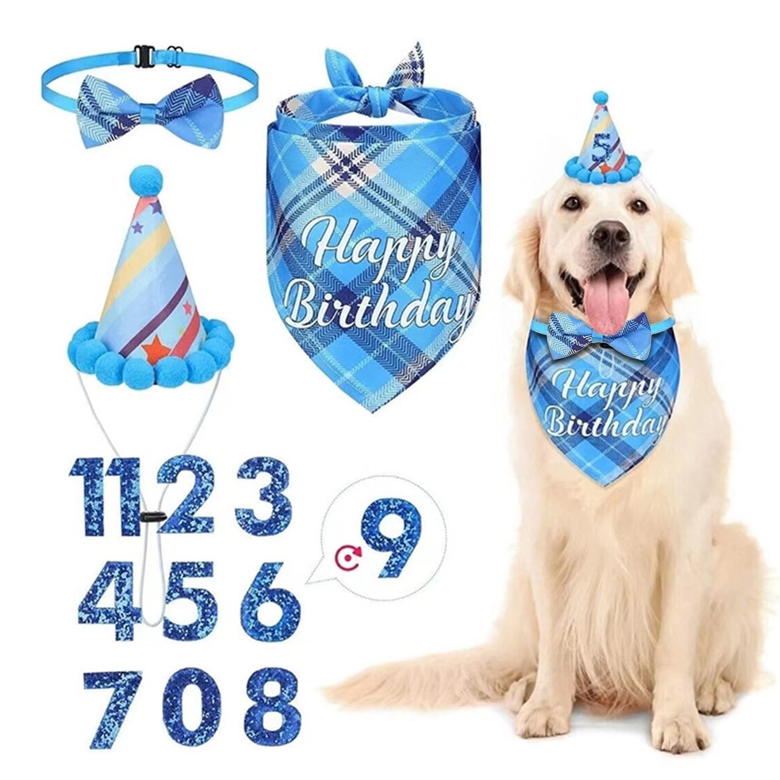 Fournitures de fête d'anniversaire pour chien garçon : accessoires ajustables sans stress