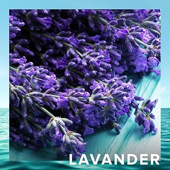 クリスティアーノ・ロナウド Amazon | CRISTIANO RONALDO クリスティアーノ ロナウド 7