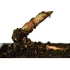 Product Photo 5