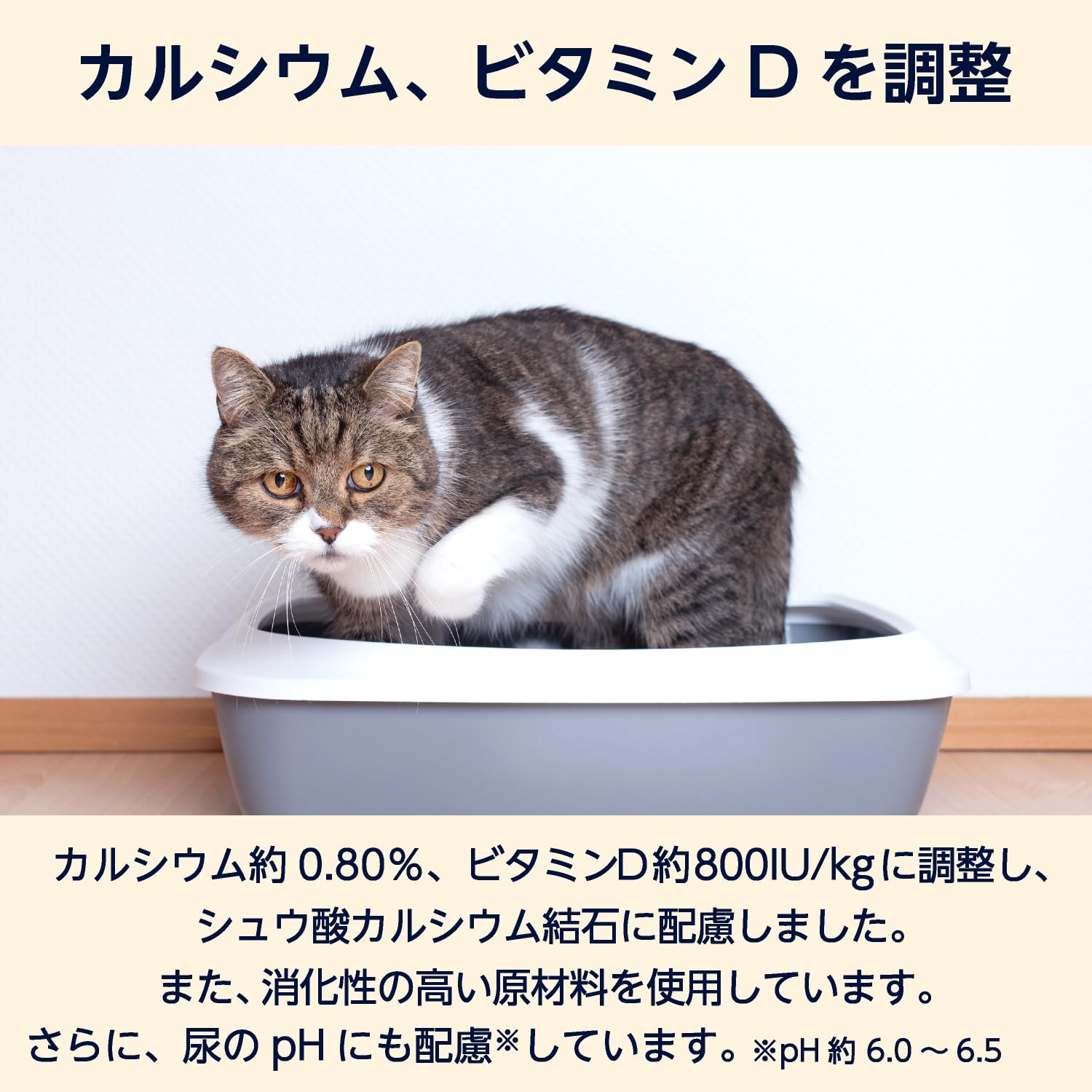 Amazon | by Amazon 猫用食事療法食 下部尿路ケア 500g キャットフード
