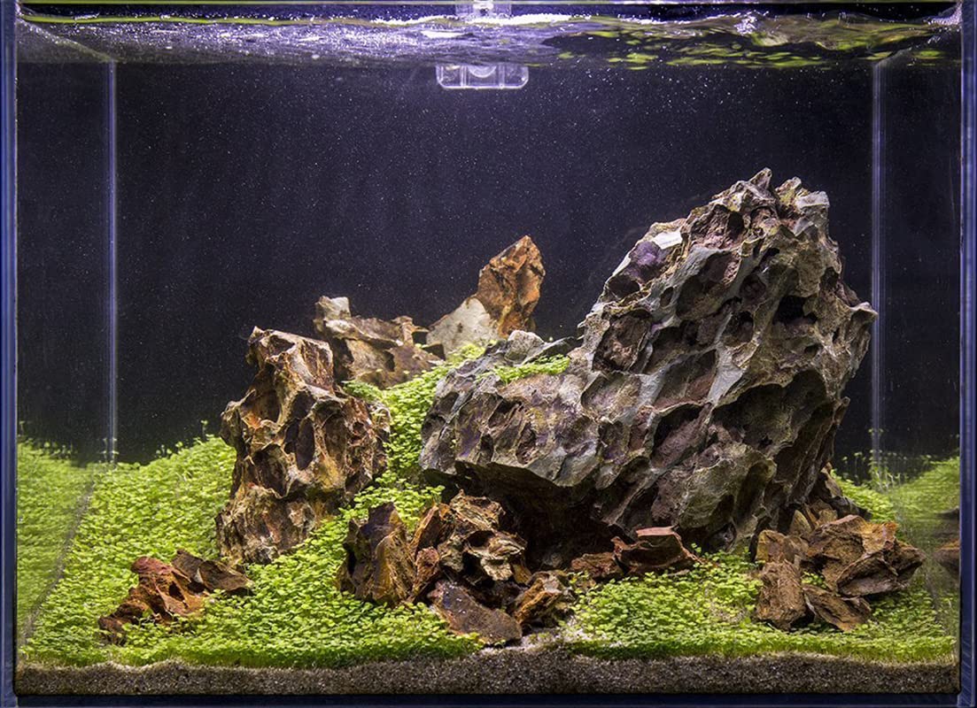 SubstateSource Pierre naturelle de dragon Ohko pour aquariums, aquariums, terrariums, lot mixte de pierres de petite et grande taille (4,5 kg)