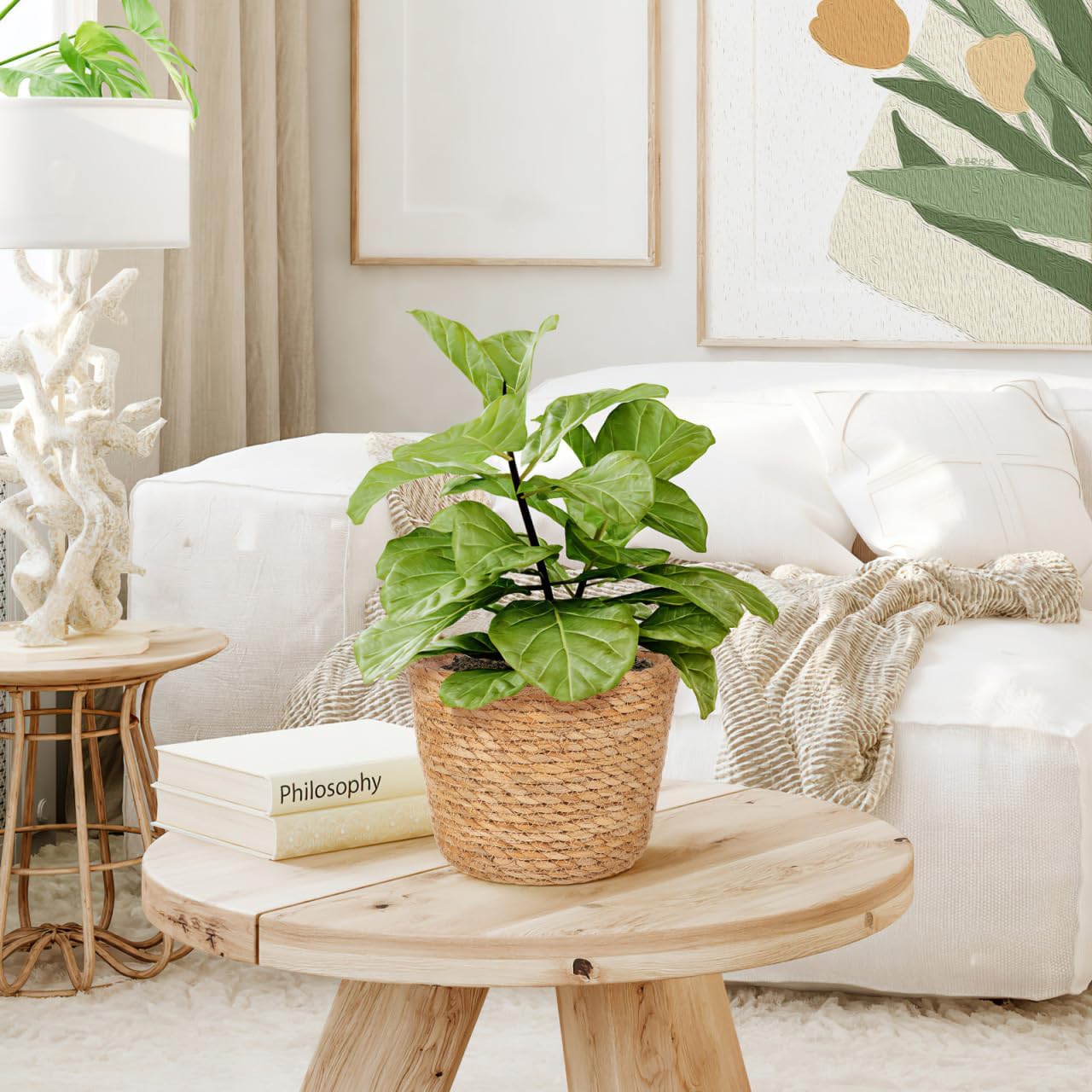 Woven Flower Basket Plant Pot with Plastic Liner Indoor Outdoor Decorative Rattan Planter for Small Plants Succulents and Home Garden