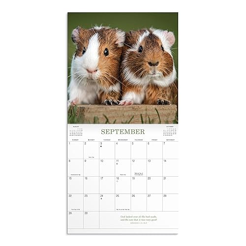Miniatura 4 de Whisker & Paws 2024 Wall Calendar A 2024 Inspirational DaySpring Calendar - Puppy and Kitten Calendar