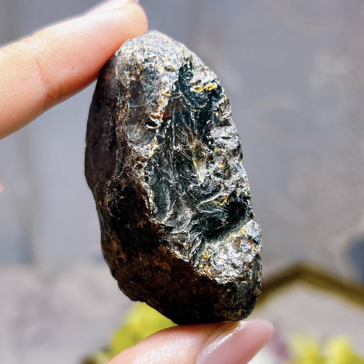 樹脂の化石【超激レア】 Amazon.co.jp: E7566ブルーアンバー＊青い蛍光が美しい＊琥珀