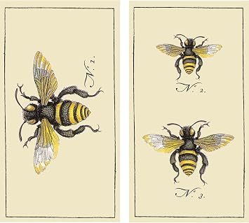 HomArt Large Decorative Insects Bee Matches