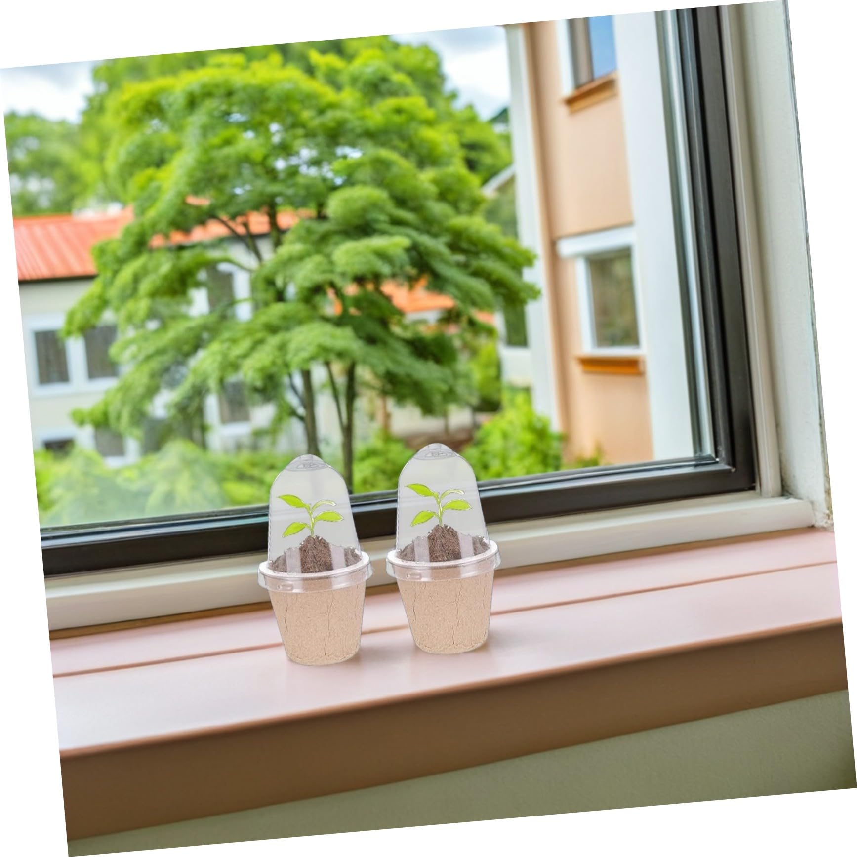 40 Pièces Pots de Semis Ronds Pâte de Papier Pots de Pépinière pour Démarrage de Semences Adaptés Culture Intérieure et Aux Projets Éducatifs