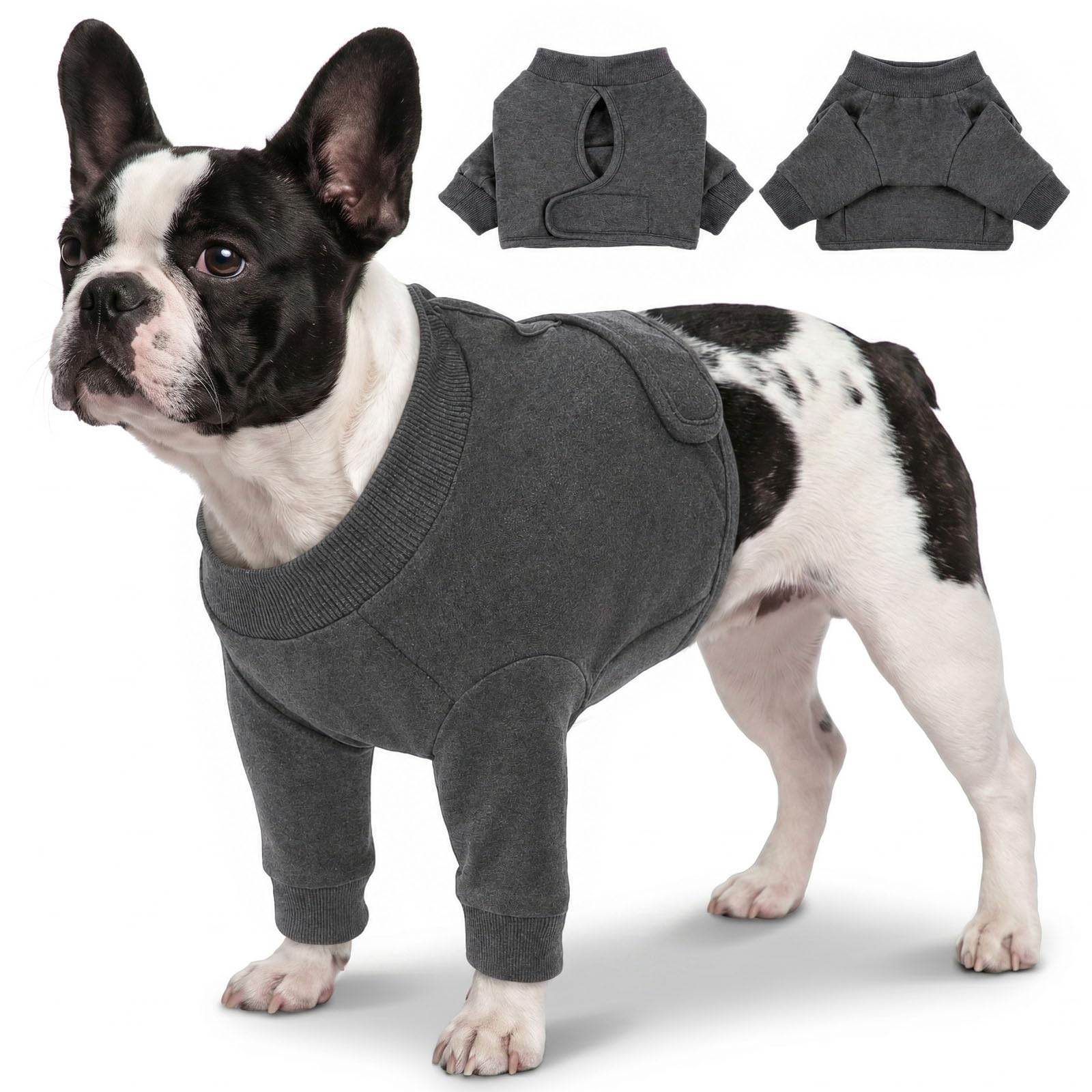 Manchon pour chien blessé CITÉTOILE protection patte avant balades