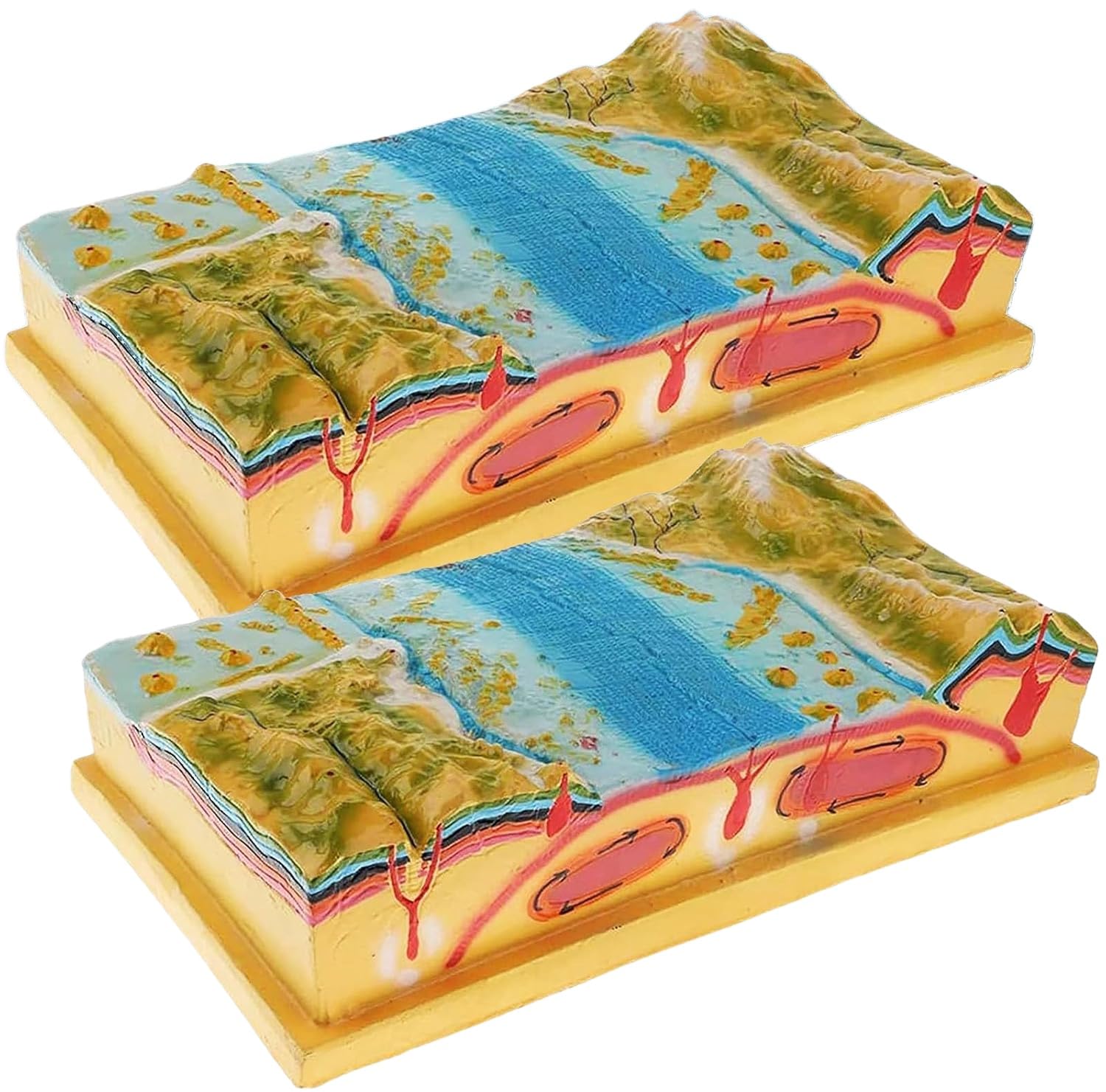 2-elementowy model tektoniki płyt geologicznych 3D, model interpretacyjny mapy konturowej, modele nauk o ukształtowaniu terenu, modele geologiczno-topograficzne, obejmujące dno morskie, góry, skorupę