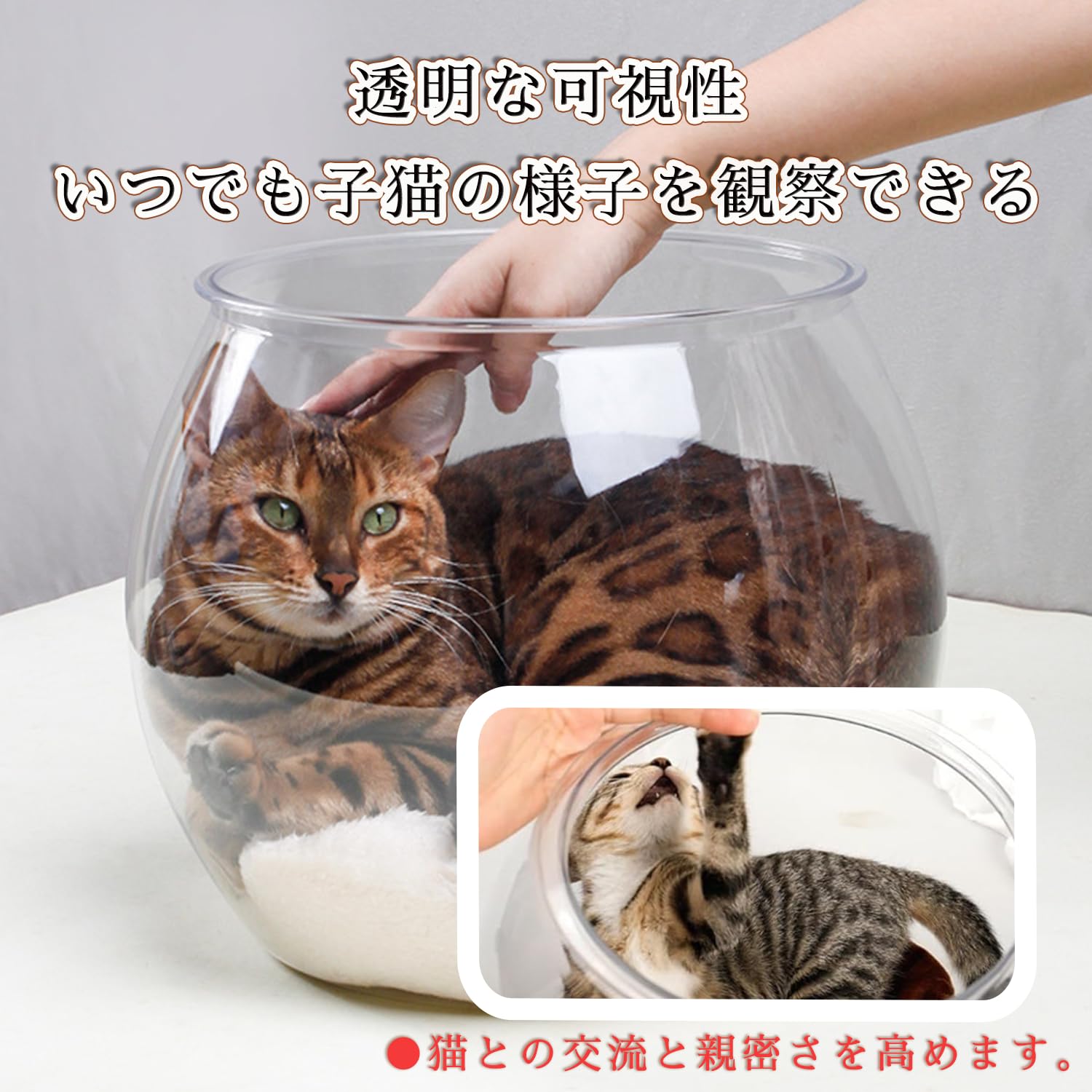 Amazon | 猫 金魚鉢 猫が入る ベッド 金魚 水槽 おしゃれ 隠れ家 