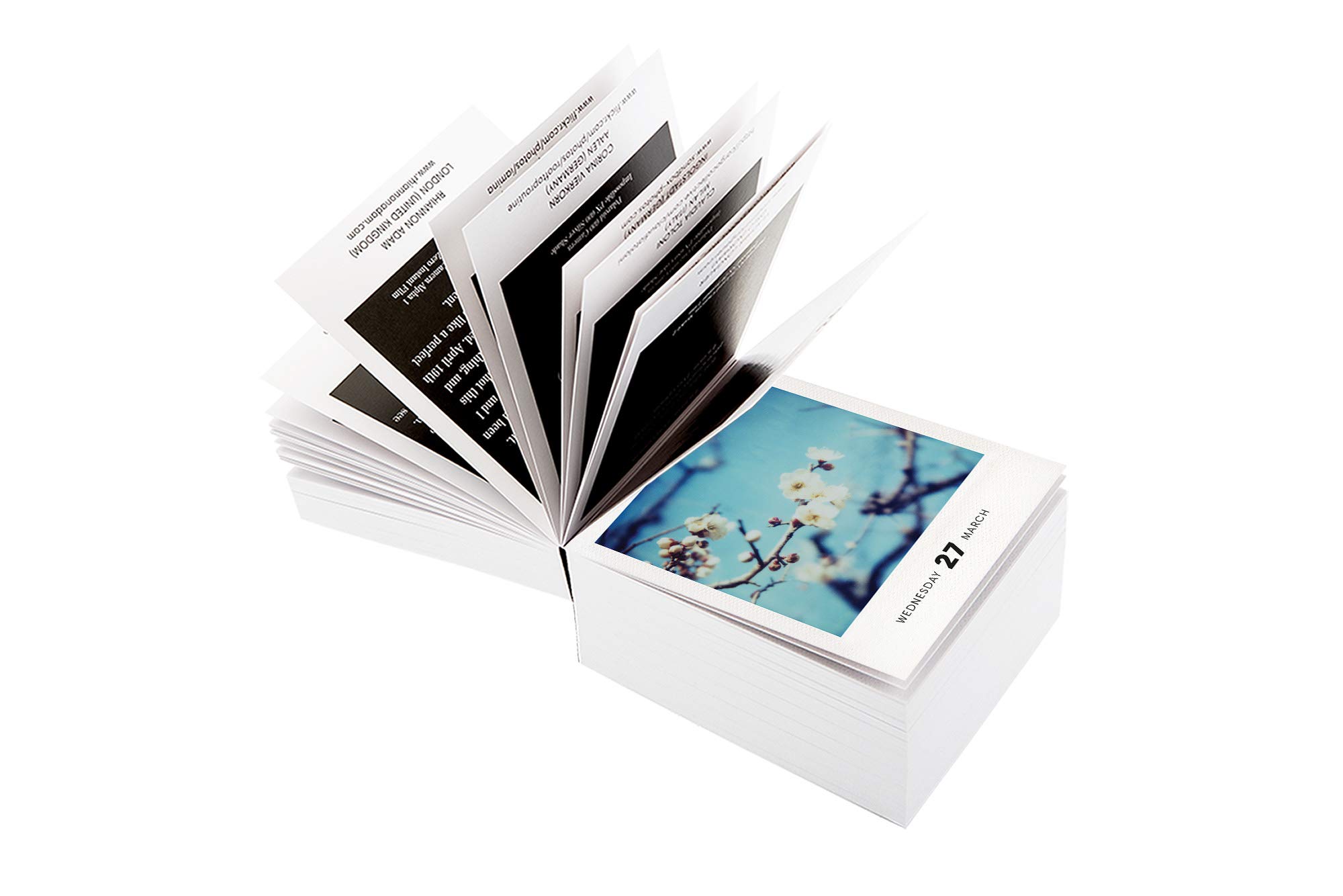 Photodarium 2019: Every Day a new Instant Photo: A Calendar For 2019 With 365 Instant Photos: 8