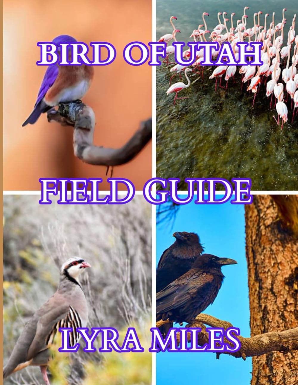 UTAH BIRD FIELD GUIDE: Utah Bird Identification: Discover Bird Types, Habits, and Behaviors Across Deserts, Mountains, Wetlands, and Backyards