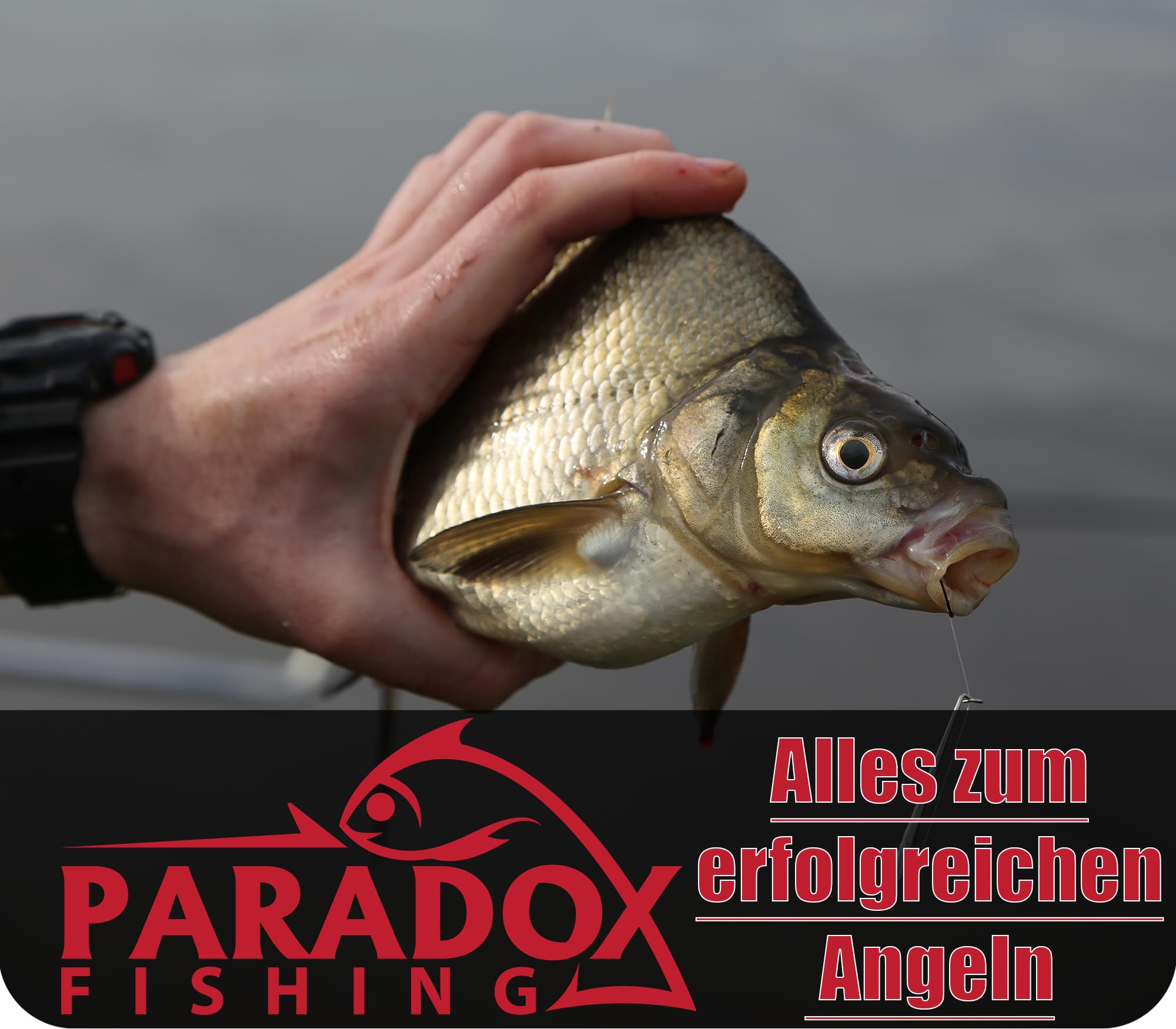 Paradox Fishing Caña de pescar de 3,3 m de peso, 90 g, 3,6 m, 120 g, con cesta de alimentación