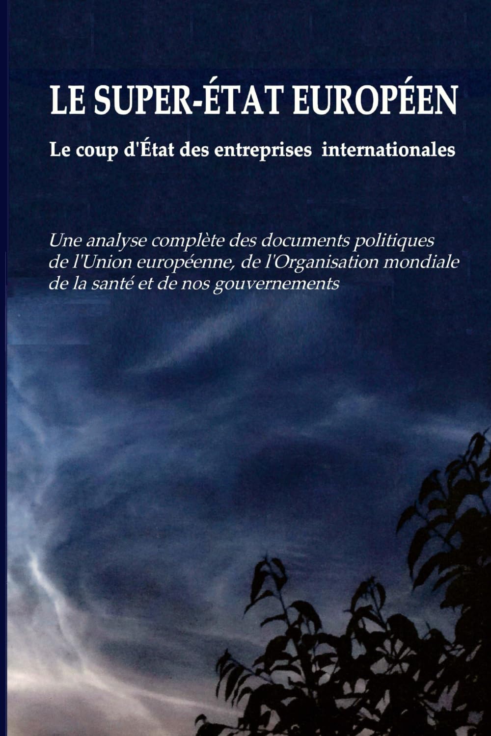LE SUPER-ÉTAT EUROPÉEN - Le coup d'État des entreprises internationales: Une analyse complète des documents politiques de l'Union européenne, de ... mondiale de la santé et de nos gouvernements