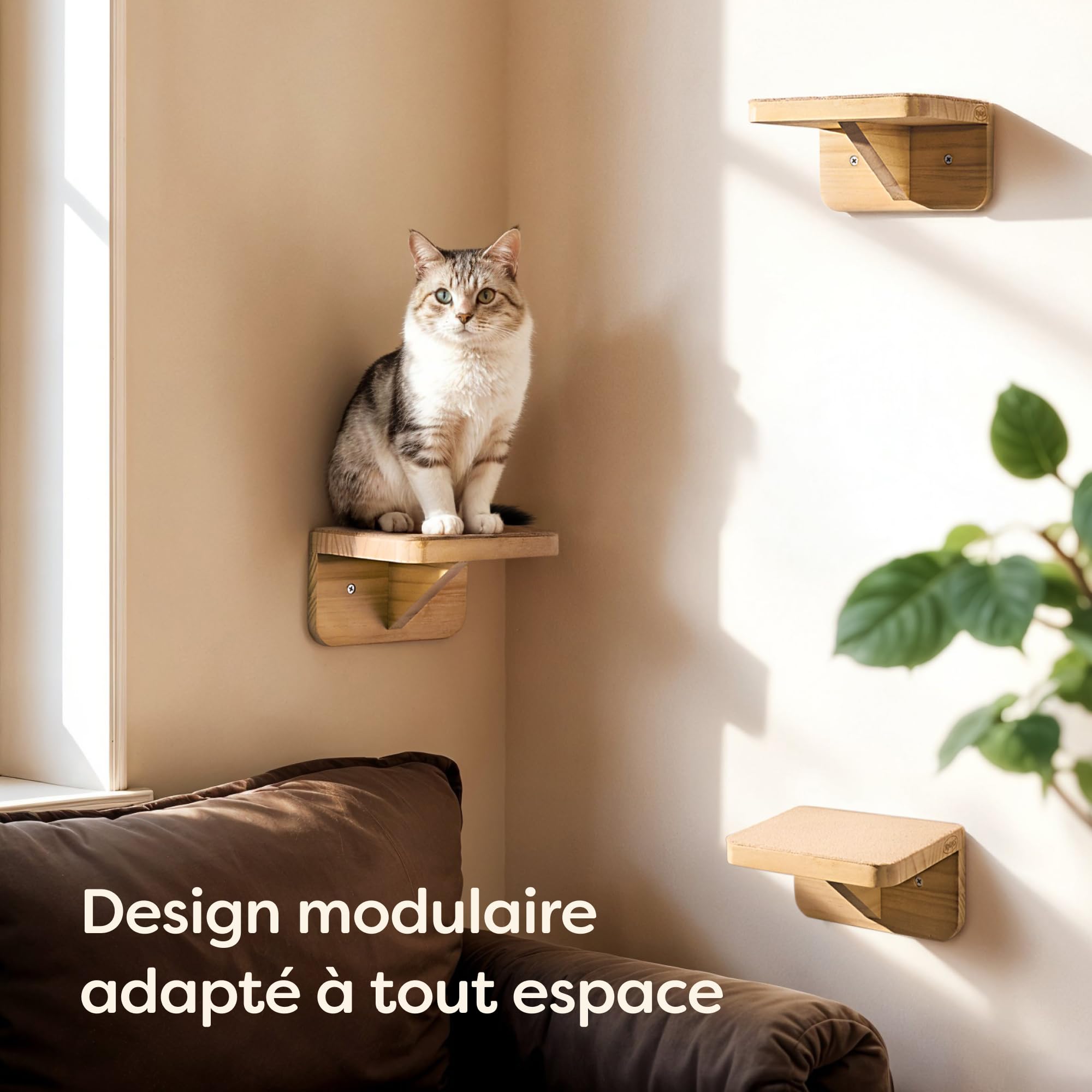 Knupis Mur d'escalade pour Chat Beige - 3 Escalier Mural pour Chat en Pin Fsc® - Non-tissé Antidérapant - Montage Facile - Charge Maximale Élevée Jusqu'à 30 Kg