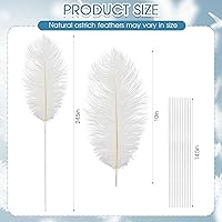 Vista 3 de Juexica Juego de 80 plumas de avestruz naturales a granel con alambre de hierro para centros de mesa, plumas bohemias grandes de 10 a 12 pulgadas