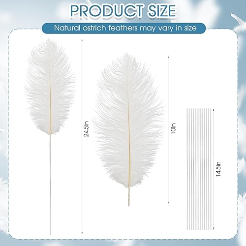 Miniatura 3 de Juexica Juego de 80 plumas de avestruz naturales a granel con alambre de hierro para centros de mesa, plumas bohemias grandes de 10 a 12 pulgadas