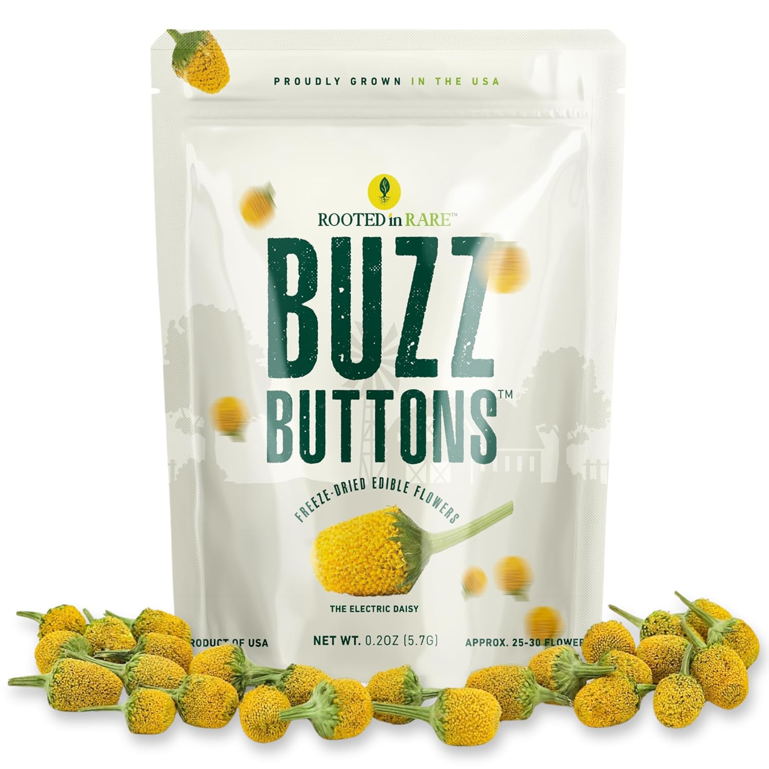 buzz button flowers