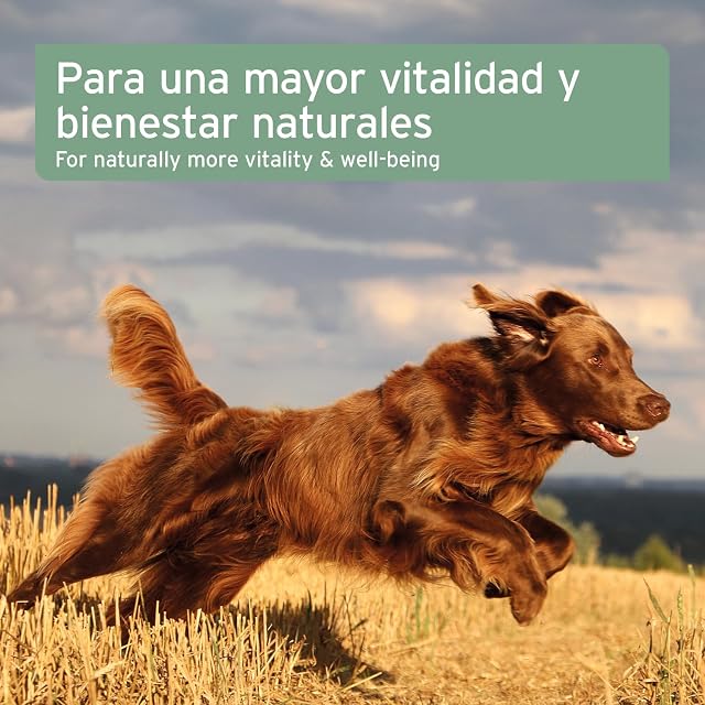 Foto 8 de 8 de AniForte Aceite de Salmón para Perros 1 Litro