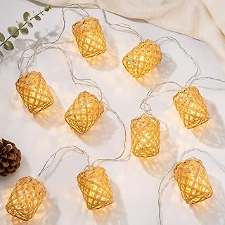 Bamboo String Lights Indoor Outdoor, 10LEDs/12FT Warm White Fairy Lanter...
