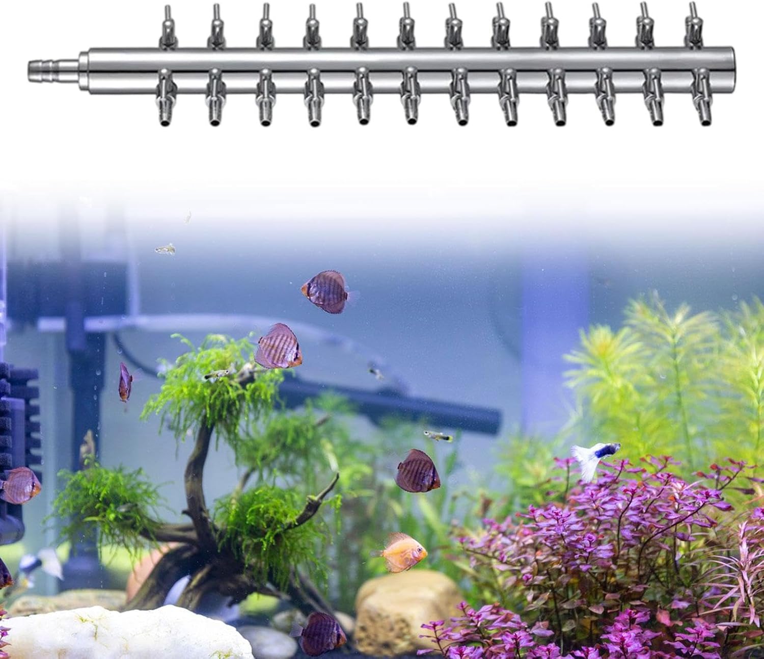 Aquarium Air Control Valve Distributor Splitter Fish Tank Accessory Air Pump Connector Multi-Port (8mm Inlet), 24 Way