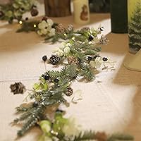 Vista 14 de Guirnalda de luces esmeriladas de nieve y bayas rojas de 6.5 pies y 25 luces LED, delicada guirnalda de Navidad con luces, funciona