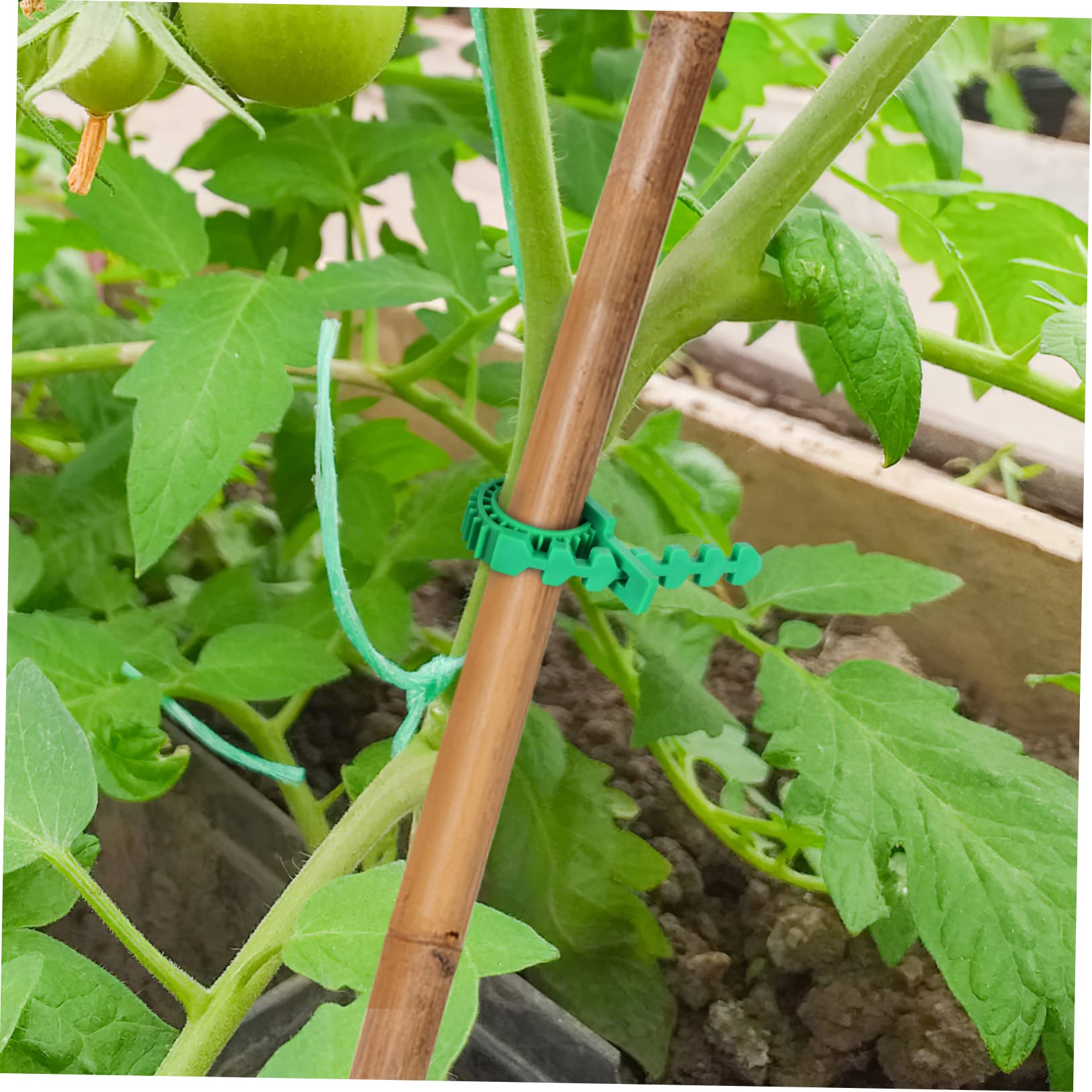 Sosoport 3 Sätze Baumstützgurte Teilig Verstellbare Pflanzenbinder Strapazierfähigem Zur Stabilisierung Von Schiefen Bäumen Und Pflanzen Für Garten Und Outdoor Einsatz 18 Stück * 3