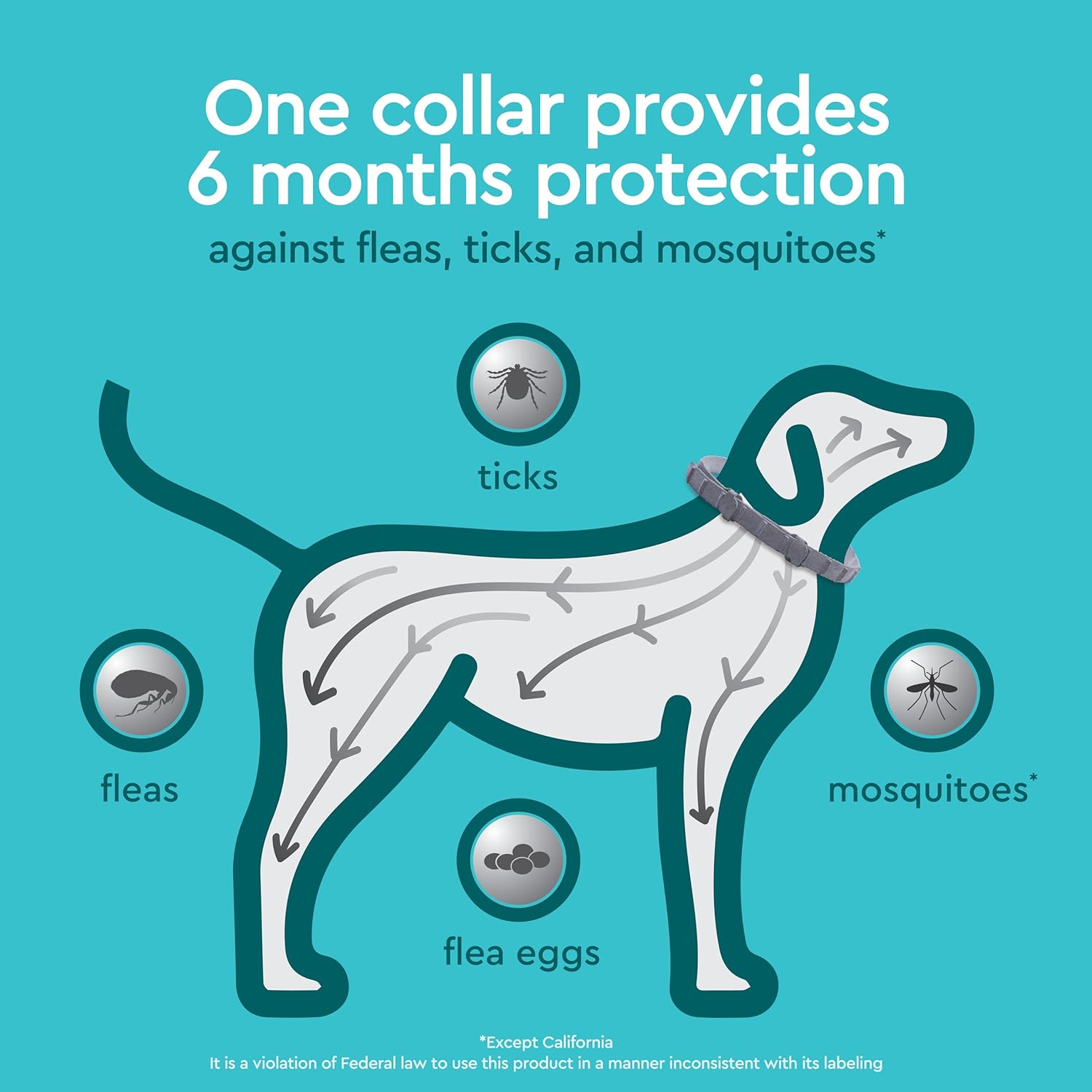 Provecta® PRO Flea & Tick Collar for Dogs