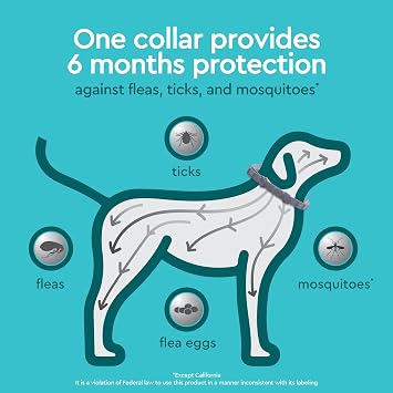 Provecta PRO Flea & Tick Collar for Dogs
