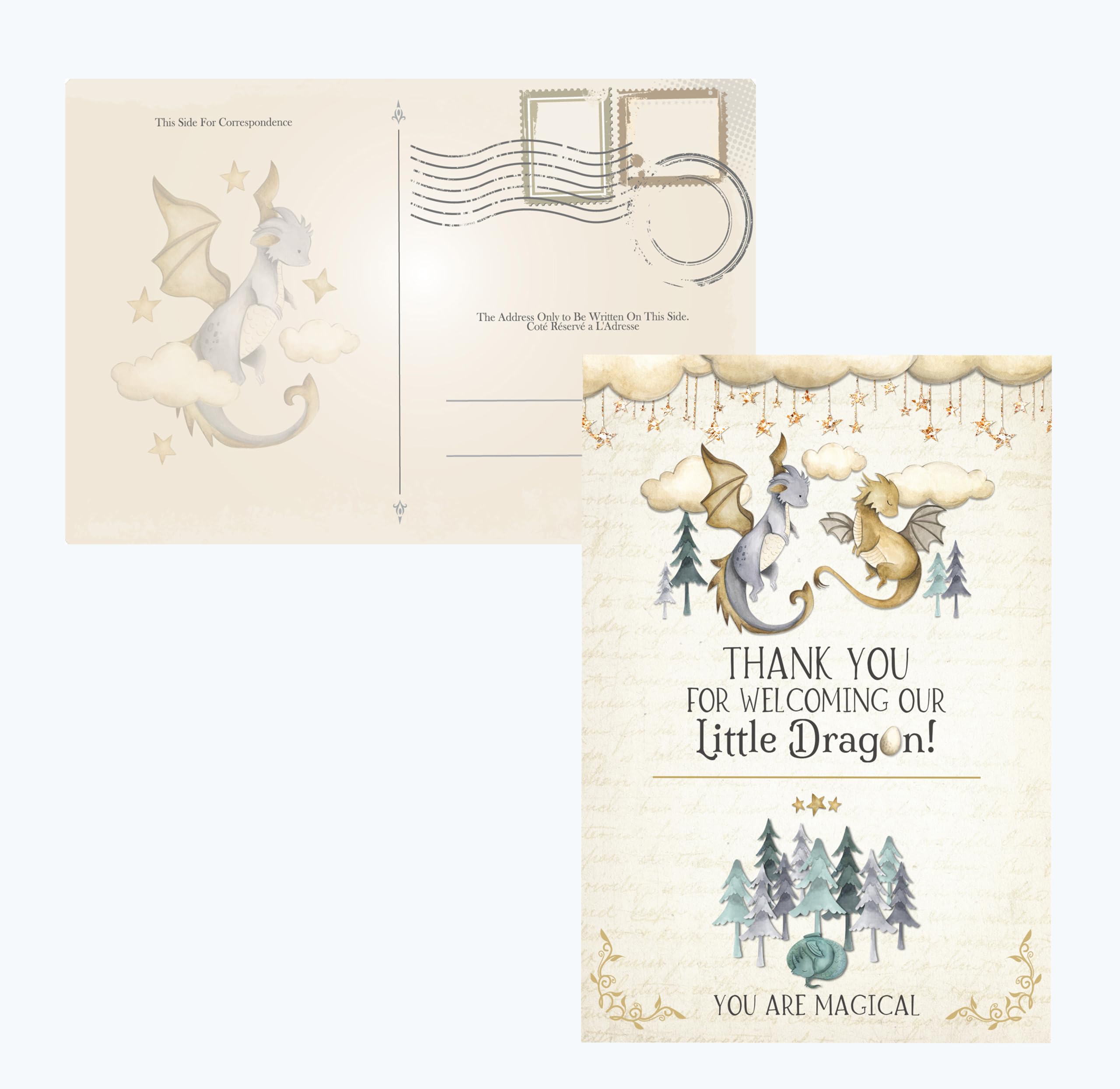 A Little Dragon Is On The Way - Themed Baby Shower Party Set - Ideal Adventure Theme For The Mother Of Dragon - Thank You Postcards and Diaper Raffle