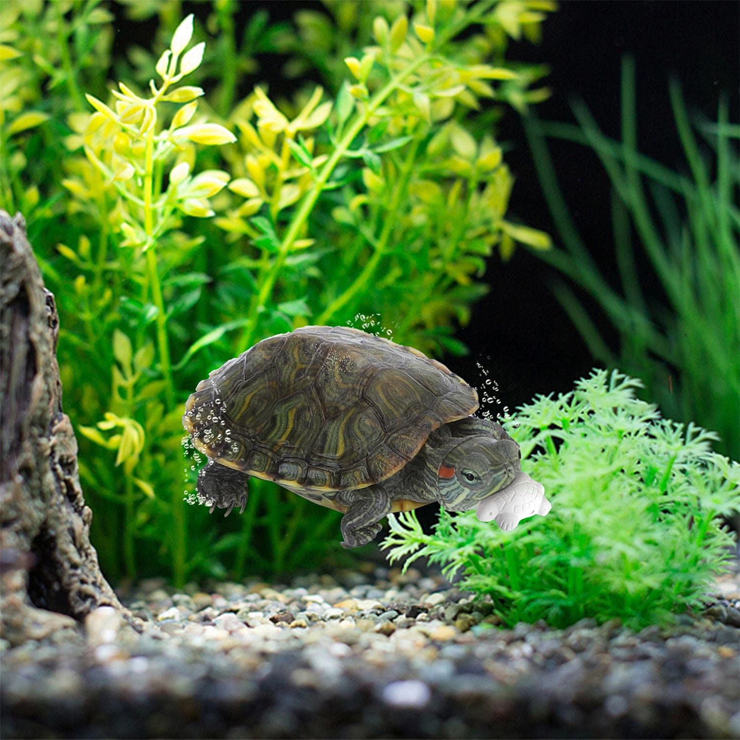 Nobleza - Calcium for Aquatic Turtles, 12 Pack Suppléments de Base Naturels, Améliorant la Carapace de la Tortue, L5 * W3.5cm
