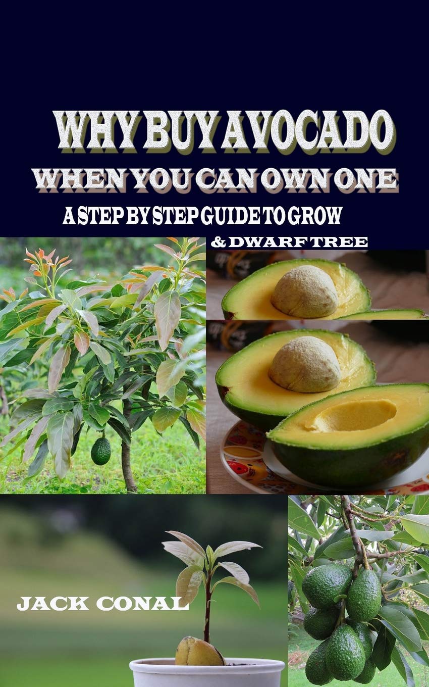 Buy WHY BUY AVOCADO WHEN YOU CAN OWN ONE A Step by Step Guide to Grow & Dwarf Tree Online at