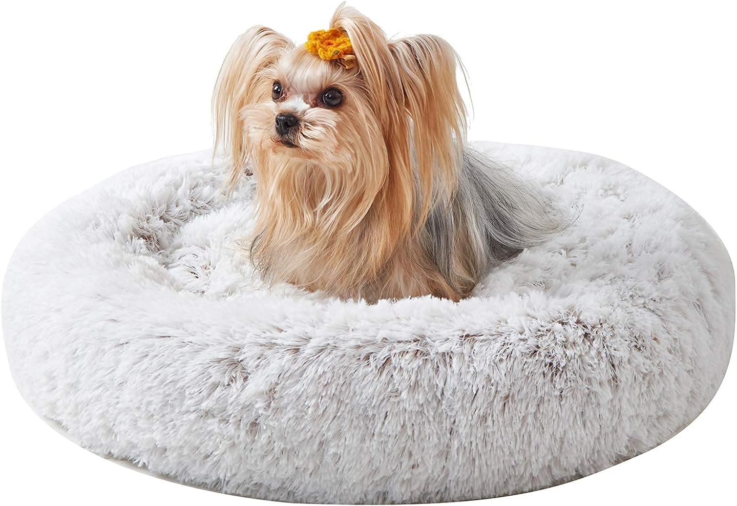 joyelf dog bed