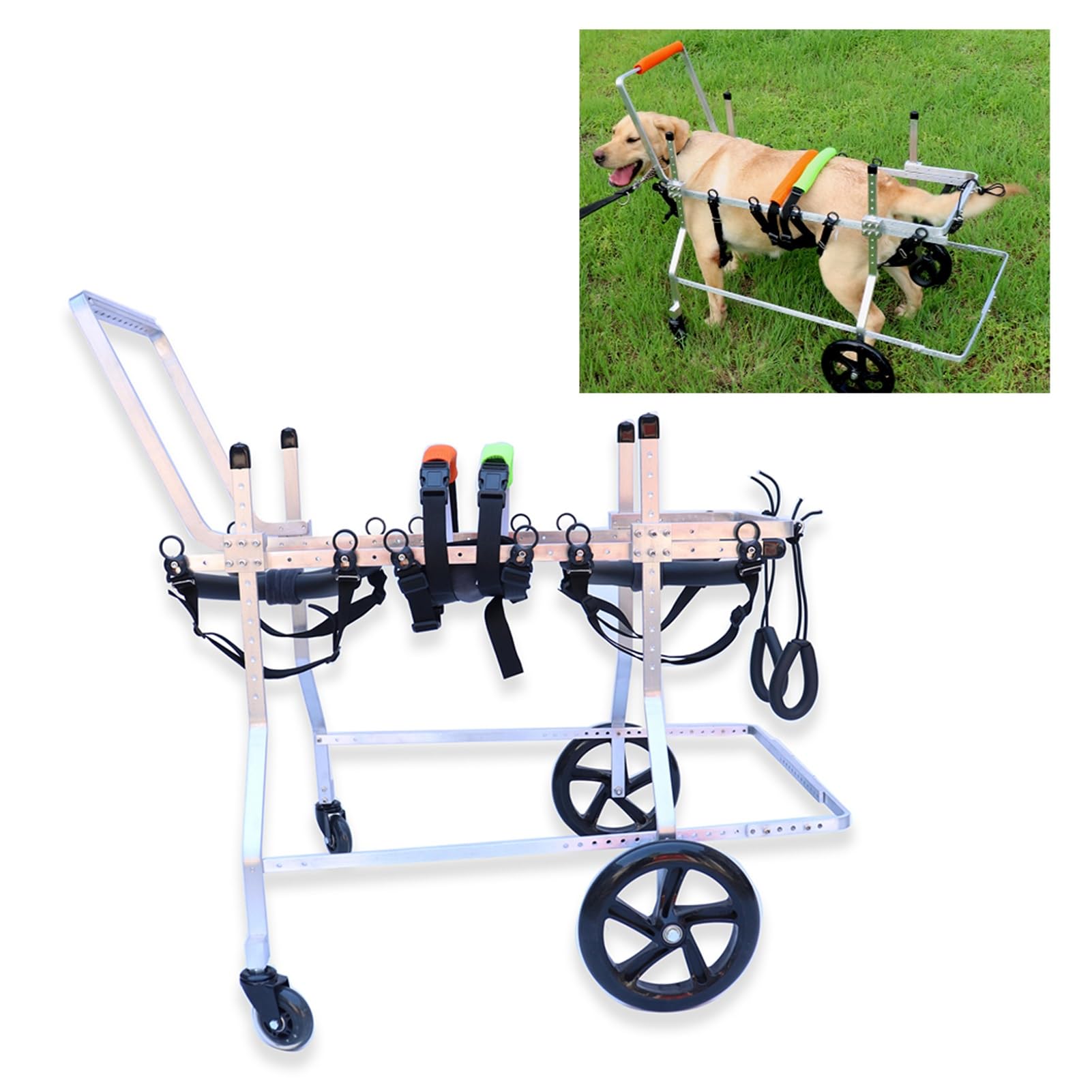 Fauteuil roulant réglable pour chiens chariot 4 roues pattes avant
