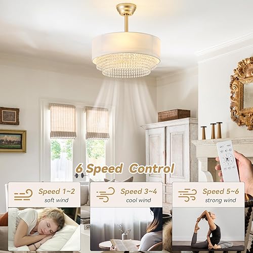 Miniatura 2 de Ventilador de techo con lámpara de cristal de 20 pulgadas con luz, ventiladores de techo boho con control remoto de luces, enjaulado de 6