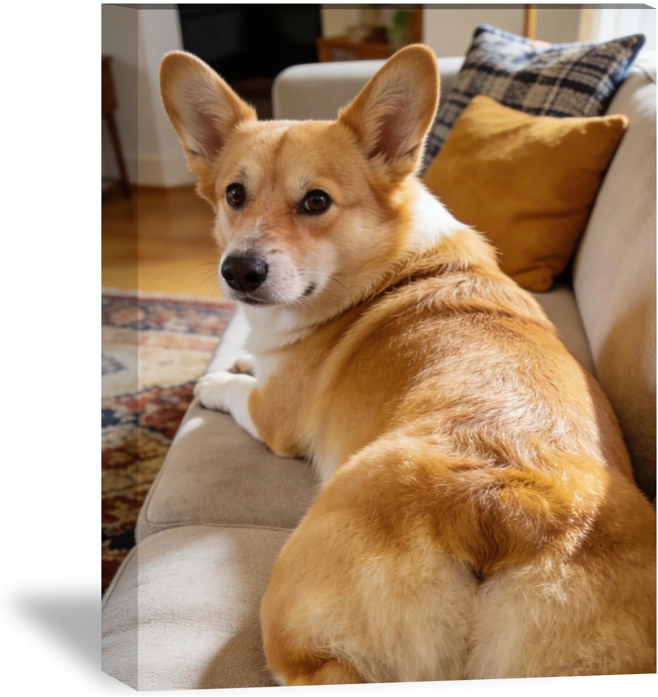 HHTCMM Ship Next Day Custom Canvas Prints with Your Photos for Pet/Animal,Personalized Canvas Pictures for Framed Wall Art for your Pets/Baby/Family (12“Lx16”W)