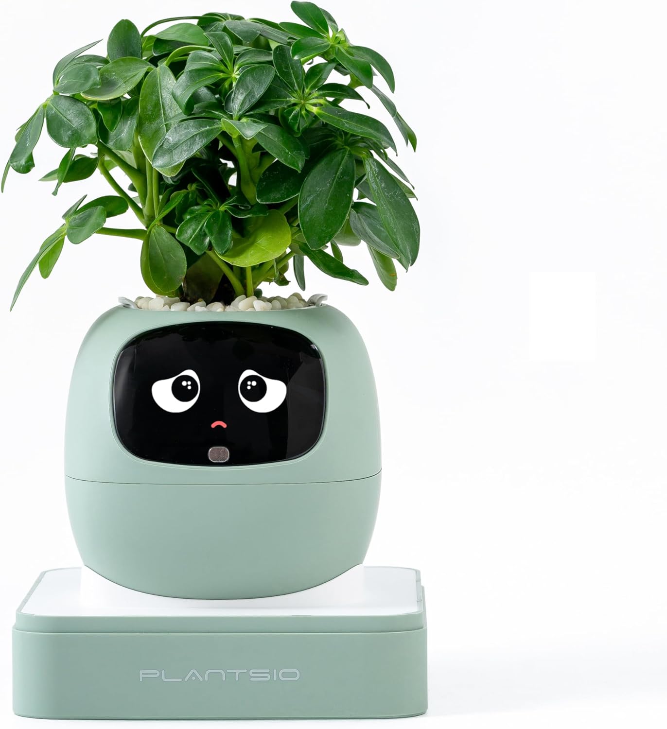 Smart pet Planter Robot Guidance on Plant Care with Emojis, Adorable Plant Companion with Rich Gesture Interaction, Neat Desk Setup Gift (Yellow) Smart pet Planter Robot Guidance on Plant Care with Emojis, Adorable Plant Companion with Rich Gesture Interaction, Neat Desk Setup Gift (Yellow)