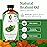 SVA Brahmi Oil Organic - 16 Fl Oz - 100% Natural Cold Pressed Organic Brahmi- for Face, Skin Care, Hair Care, Scalp Massage & Body Massage - Carrier Oil