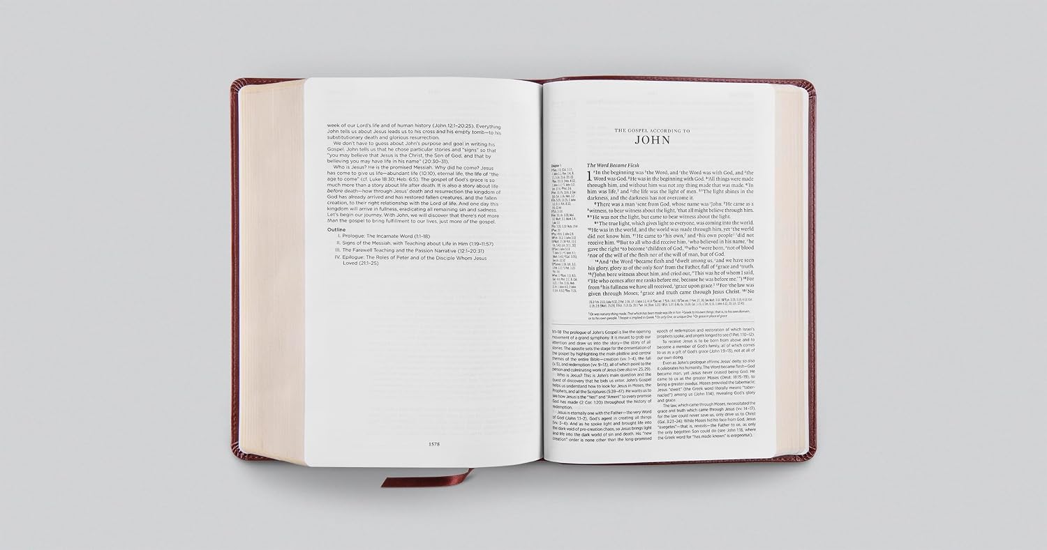 ESV Gospel Transformation Study Bible: Christ in All of Scripture, Grace for All of Life® (TruTone, Chestnut)