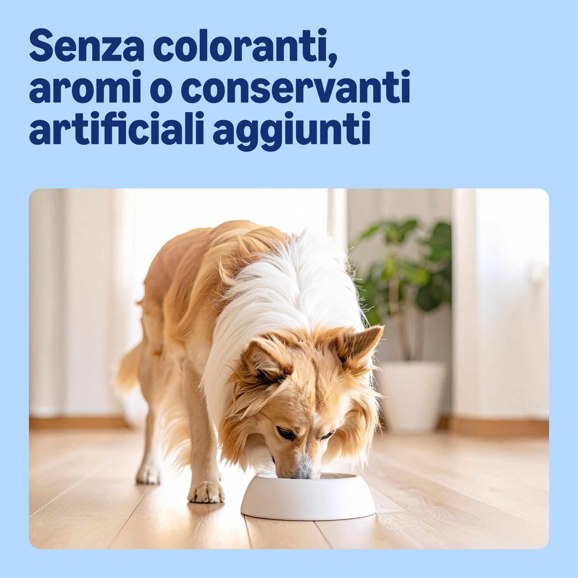 by Amazon - Alimento secco completo per cani adulti ricco di manzo con piselli, 1 confezione da 20 kg