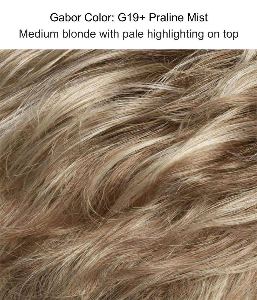 Bundle - 5 items: Aspire Wig by Gabor, Christy's Wigs Q & A Booklet, Wig Shampoo, Wig Cap & Wide Tooth Comb - Color: G19+