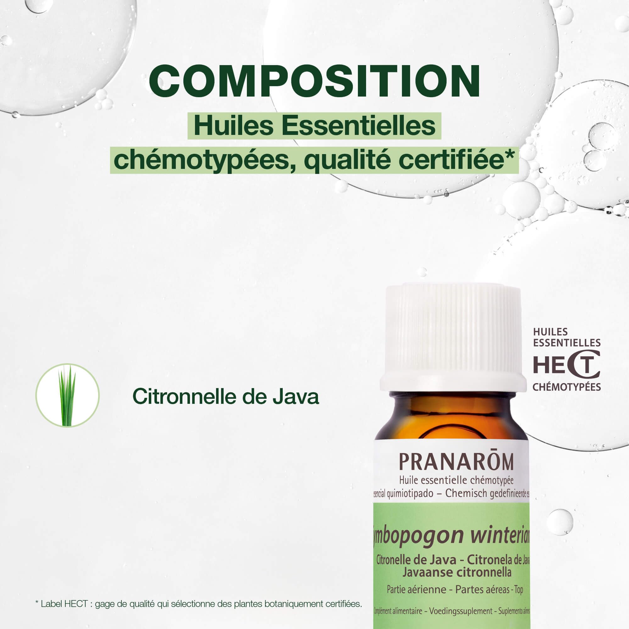 Amazon.co.jp: プラナロム PRANAROM シトロネラジャワ 10ml [並行輸入