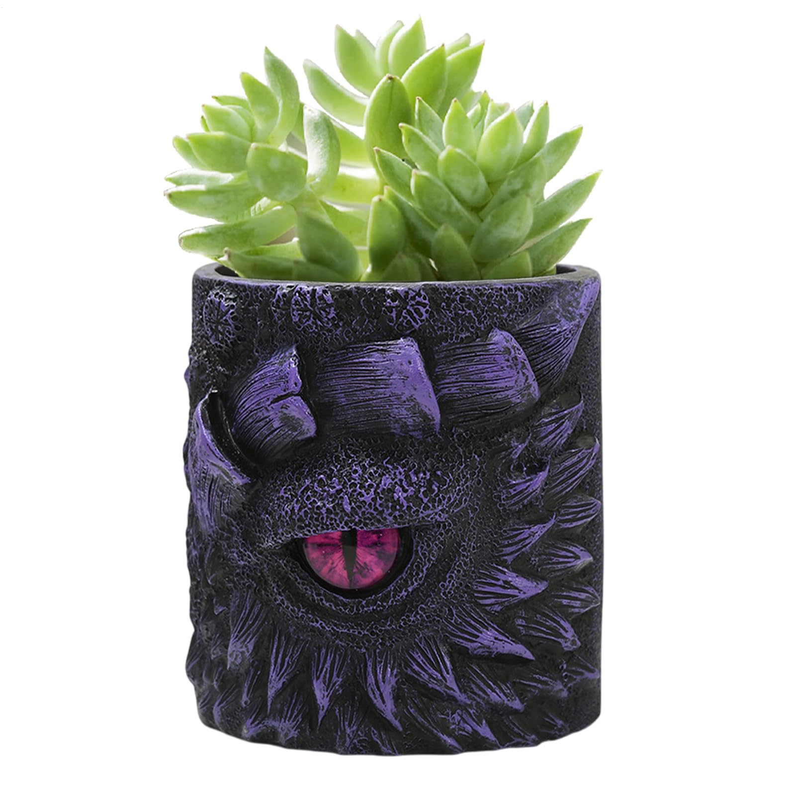 Vase créatif élégant œil de dragon pot de fleurs d'intérieur